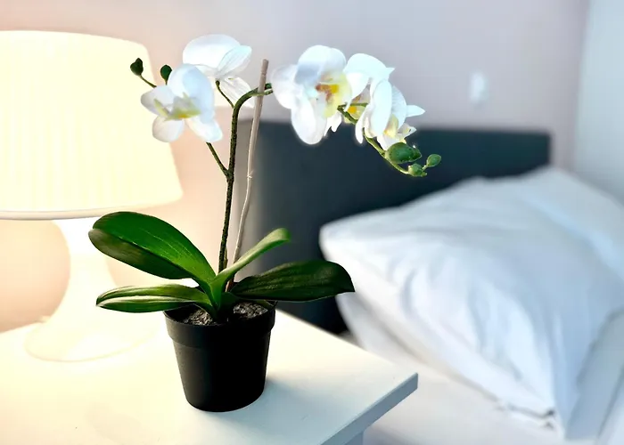 Sun Beach Apartment